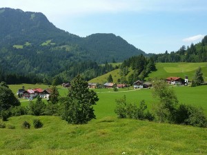 eladó telek Diósd